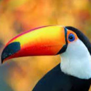 Meet your Posher, Eli